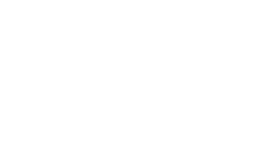 wizard